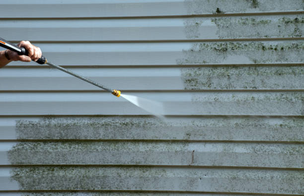 Roof Power Washing Services in Elsa, TX