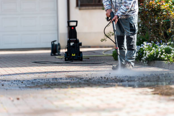 Best Pressure Washing Near Me  in Elsa, TX
