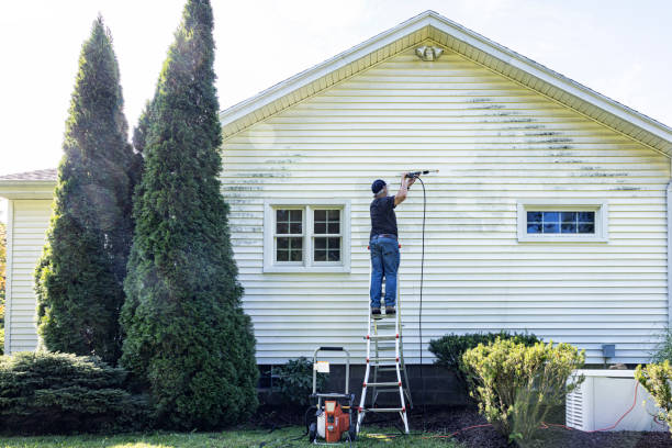Best Pressure Washing Company Near Me  in Elsa, TX