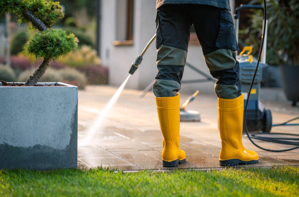 Best Pressure Washing Near Me  in Elsa, TX